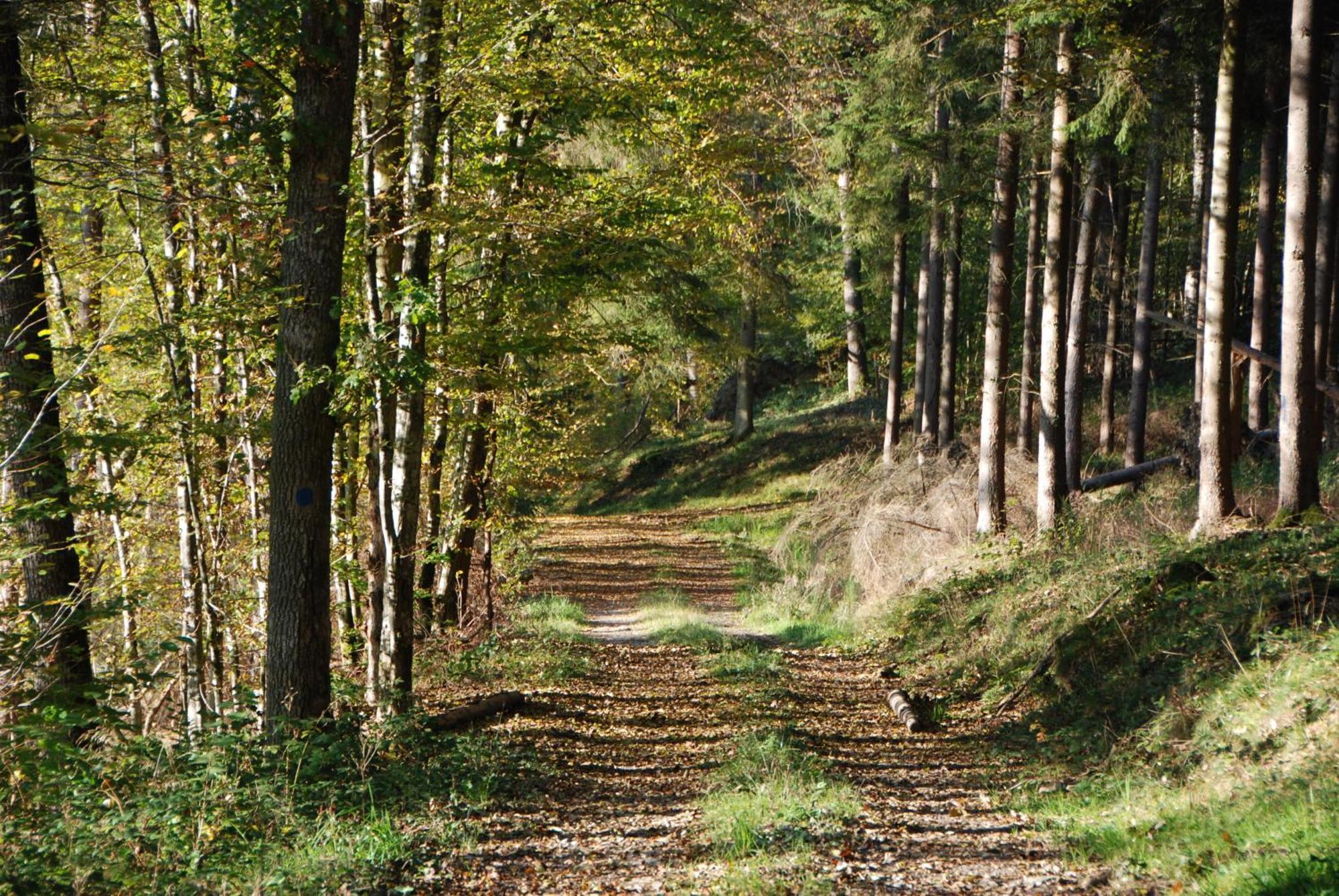 B&B Les Trois Voisins Bourseigne-Vieille Buitenkant foto