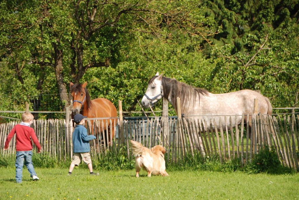 B&B Les Trois Voisins Bourseigne-Vieille Buitenkant foto